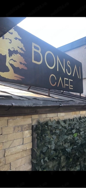 Bonsai Cafe Botosani angajeaza ospatar (fata)  - imagine 3