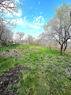Casa complet mobilata si utilata | Teren 2500 mp | Liniste, natura autentic romanesc - imagine 22