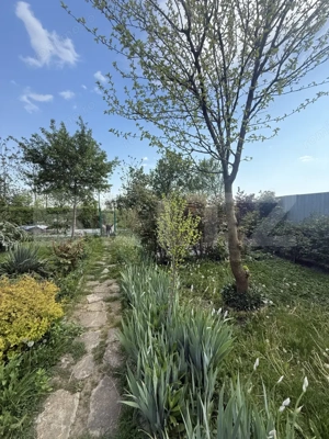 Casă superbă în Mărginenii de Sus –  - imagine 4