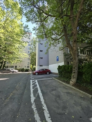 Apartament 2 camere de inchiriat Alexandru Obregia - Raul Sadului - imagine 16