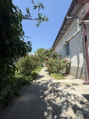 Ultracentral, casa individuala cu teren 387 mp, centrala gaz - imagine 4