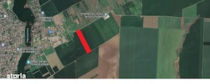 Teren 1.04 Ha Frunzănești (Călărași)   Orientare ideală Nord-Sud pentru Parc Fotovoltaic   Tracker - imagine 5