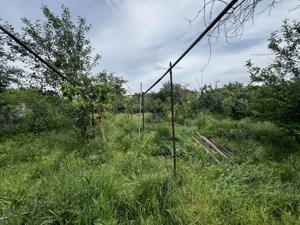 Teren 997 mp + casa de demolat - zona Bogdanestilor Timisoara