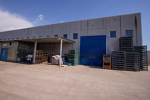 Hala industriala de vanzare, situata in Titesti-Mioveni, Arges, 5100mp - imagine 13