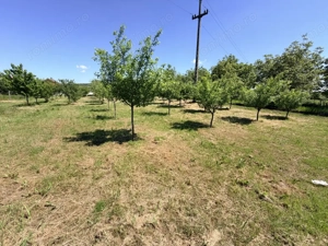 Ocazie Investitie, Casa de renovat/demolat 127mp+3000.mp Teren Intravilan/Simnic - imagine 13