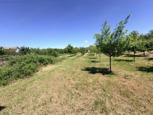 Ocazie Investitie, Casa de renovat/demolat 127mp+3000.mp Teren Intravilan/Simnic - imagine 14