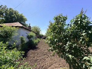 Ocazie Investitie, Casa de renovat/demolat 127mp+3000.mp Teren Intravilan/Simnic - imagine 8
