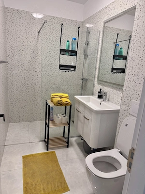 Apartament cu 1 camere LUX la cateva minute Biserica Tosca Musicescu - imagine 4