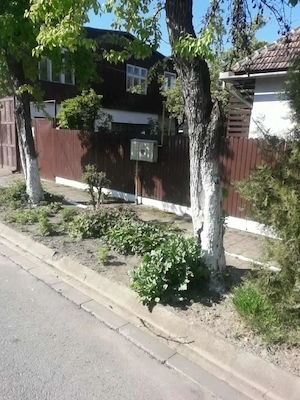 Casa de vanzare in Orasul Dumbraveni Judetul Sibiu. - imagine 5