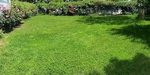 Apartament 3 camere Stațiunea Saturn  - imagine 10