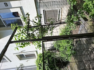 Apartament 3 camere zona Uniri  Mitropolie - imagine 6