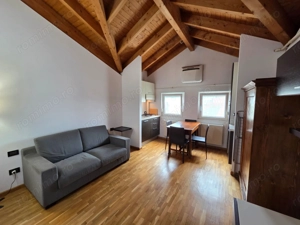 Apartament 1 camera