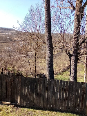 Vand lemn frasin