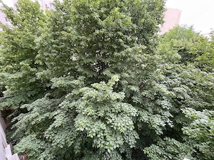 Garsonieră Decebal, Theodor Sperantia 5 minute metrou Muncii, - imagine 10