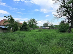 Casa + teren de vânzare 
