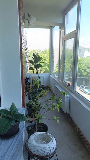 Apartament 2 camere   Zona Centrala   Ramnicu Valcea   - imagine 10