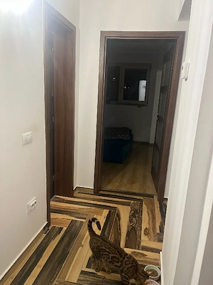 Apartament cu 2 camere Tatarasi ,loc de parcare  - imagine 7
