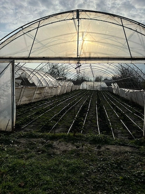  De vânzare: Solarii profesionale pe structură metalică