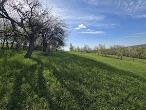 Teren extravilan 2500 mp  Izvoarele  Jud . Prahova - imagine 2