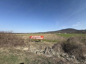 Teren de Vânzare Viile Apei