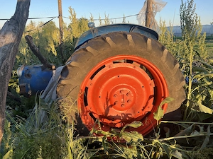 Vand tractor Forson Major - imagine 2