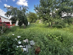 Casa cu teren mare si 33 ml Front stradal - Zona Bogdanestilor Timisoara - imagine 2