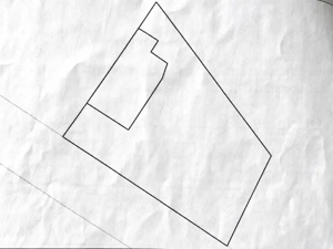 Casa cu teren mare si 33 ml Front stradal - Zona Bogdanestilor Timisoara - imagine 5