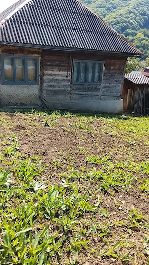 Vând casa zona liniștită  - imagine 6