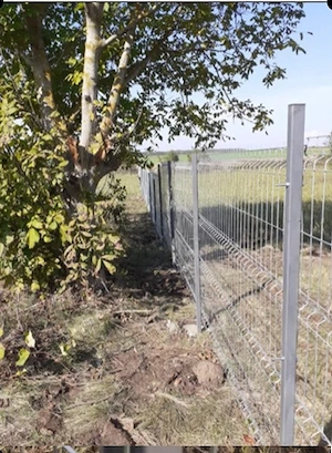 Vând 2637 mp teren în intravilanul comunei Sinești, loc. Lilieci. 18 euro mp, sub prețul pieței  - imagine 2