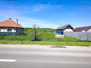 Oportunitate de Investiție. Teren 5.000 mp în Podul Oltului. - imagine 3