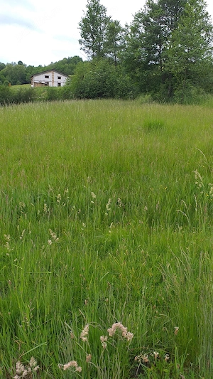 Vânt teren intravilan , Sovata