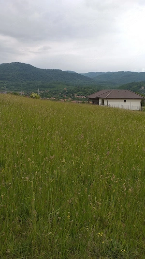 Vânt teren intravilan , Sovata - imagine 2