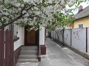 Vand casa Vatra Luminoasa - 390.000 Euro, negociabil - imagine 2