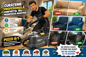 Curațare canapele, textile, interioare auto!!!