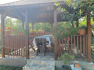 Vând teren intravilan, 772 mp, Golești, Vâlcea - imagine 4