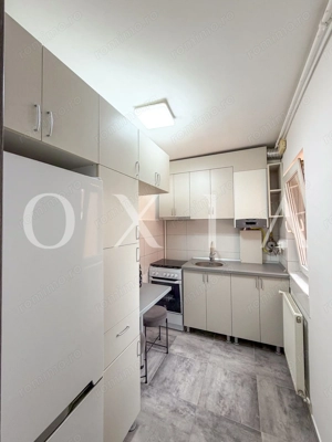 AX1268 Iulius Mall, Decomandat, Renovat - imagine 10