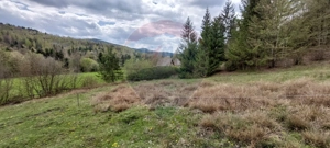 Poienita 2800mp, Covasna, zona hotel Clermont, inconjurat de padure - imagine 11
