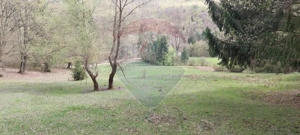 Poienita 2800mp, Covasna, zona hotel Clermont, inconjurat de padure - imagine 2
