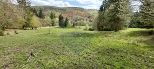 Poienita 2800mp, Covasna, zona hotel Clermont, inconjurat de padure