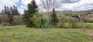 Poienita 2800mp, Covasna, zona hotel Clermont, inconjurat de padure - imagine 5