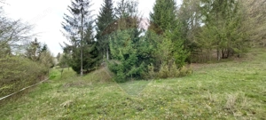 Poienita 2800mp, Covasna, zona hotel Clermont, inconjurat de padure - imagine 15