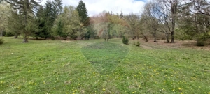 Poienita 2800mp, Covasna, zona hotel Clermont, inconjurat de padure - imagine 14