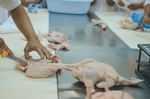 Pouletbioroyal      