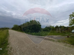 Teren 3,700mp Gulia/DN7 -20 km fata de Pta Victoriei -ideal investitie - imagine 9