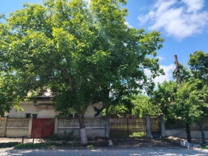 PROPRIETATE MARE ÎN COMUNA LEU, DOLJ, 2023MP TEREN