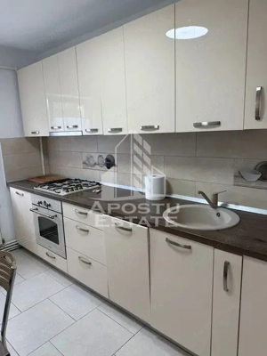 Apartament cu 2 camere, de inchiriat, zona Lipovei, Centrala Proprie - imagine 4