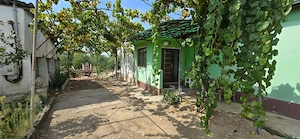 Casa + teren Zimandul nou 