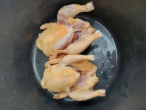 Pui de carne crescuti bio
