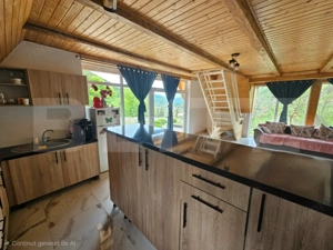 Cabană autentică cu 4565 mp teren, Liniste si Confort, Avram Iancu - imagine 7