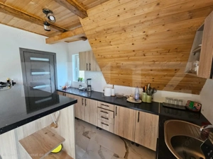 Cabană autentică cu 4565 mp teren, Liniste si Confort, Avram Iancu - imagine 8